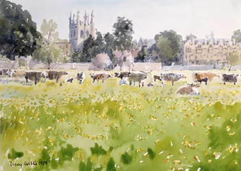 Looking Across Christ Church Meadows, 1989 (wc på papper)